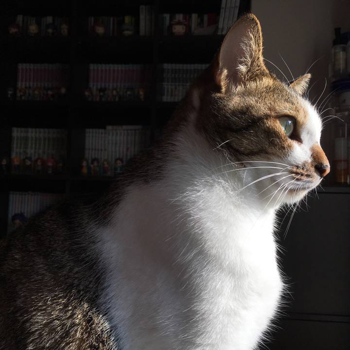 Dfa3a812 a3fc 4ba8 9ca4 84a3fe2ca12f