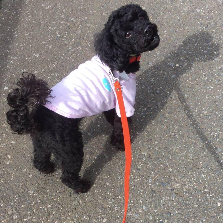 Dfa3bb2a bba7 4e3f a0f3 82b307c94ade