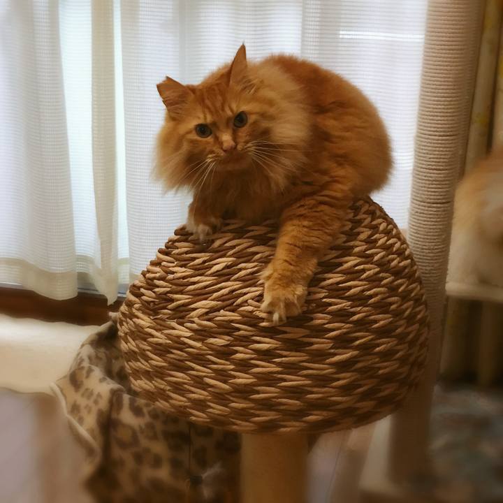 Dfa3fb3b 6ec1 447c 807f ca1dfb555fd2