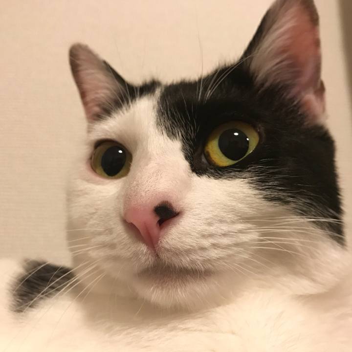 Dfa41cb5 c4a6 4f36 b67d ba6d0104178a