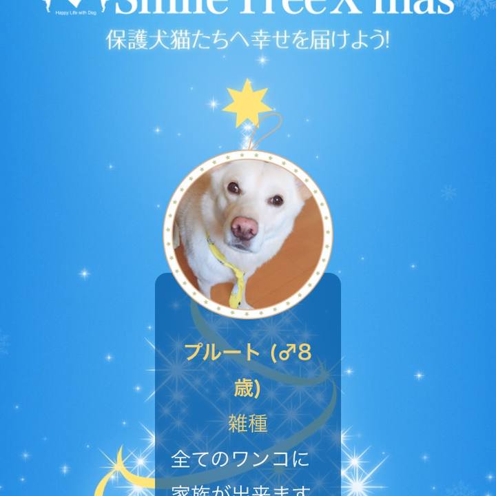 Dfa601b7 d1ca 4434 8e2f bae1c17447d9