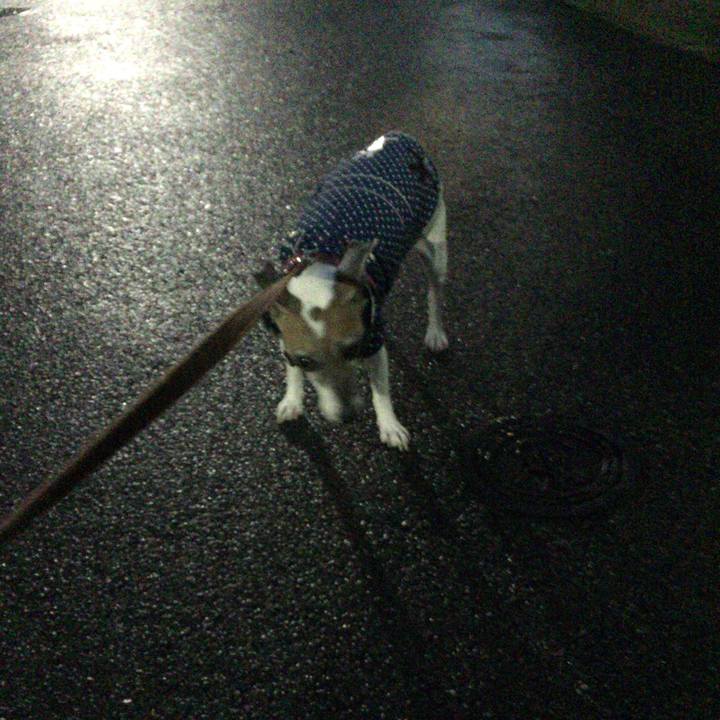 Dfa696c6 a814 4fd5 9a94 e2d828bf69fb