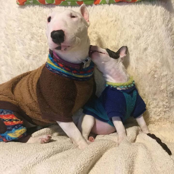 Dfa748d2 c25d 4a73 9319 bde2bc8e999a