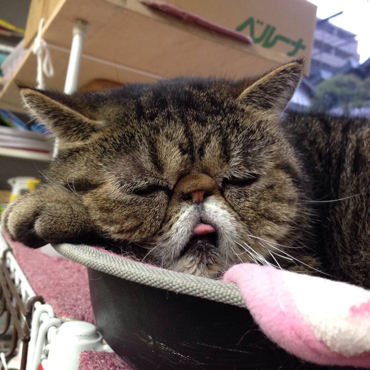 Dfa7a742 826f 49ce abff e912eded0b40