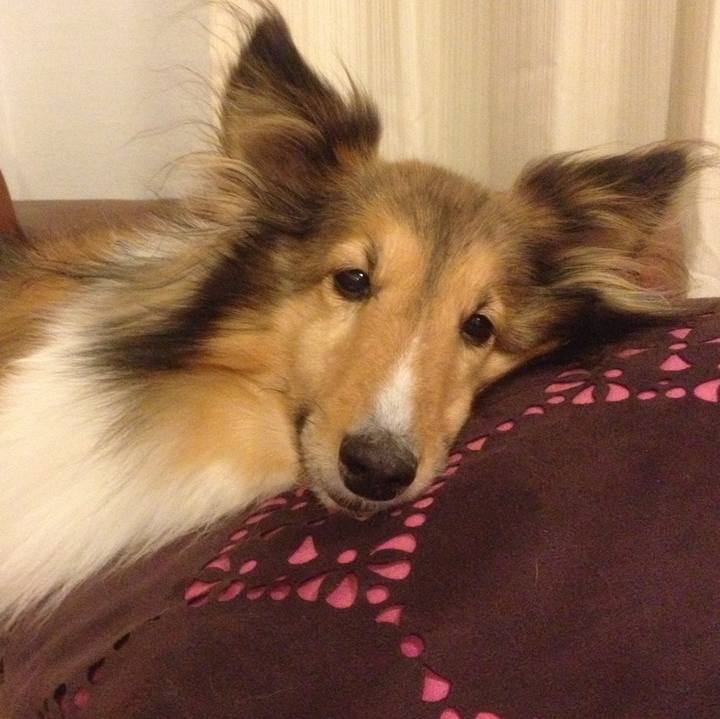 Dfa837f3 135e 4bbf a63f 4f486a05b9a3