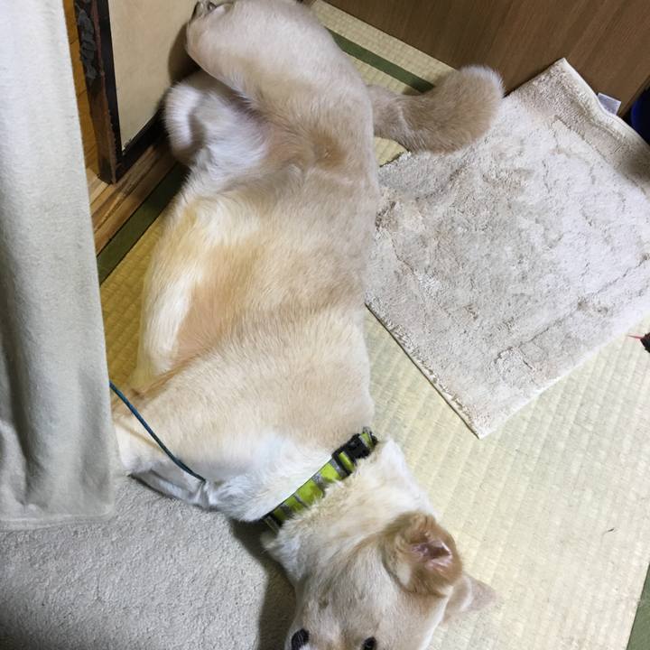 Dfa8f2cf c504 4242 b4cd cc5951df2f65