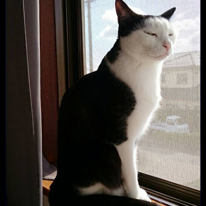 Dfa8fe43 03bb 4667 a011 e6c39db797e5