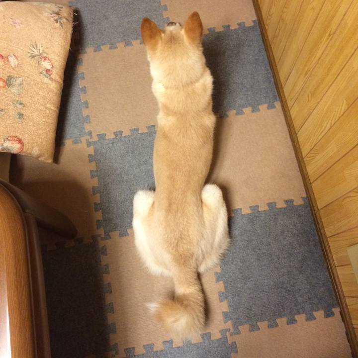 Dfa9223d 5597 4955 89b5 1585825c3ede