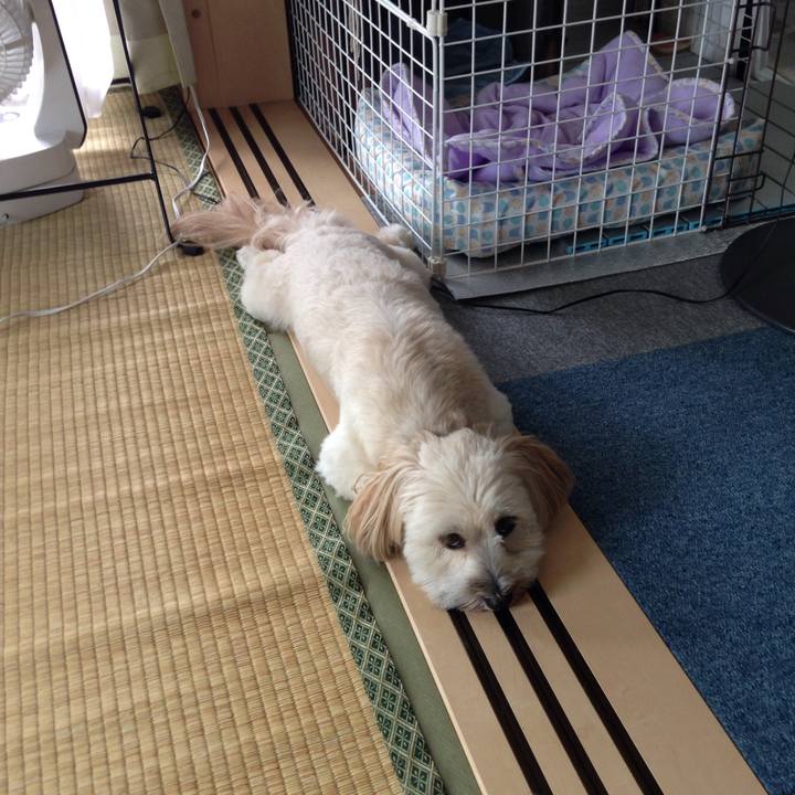 Dfa9f0bc e645 4779 b7db 7e2594fb6aa5