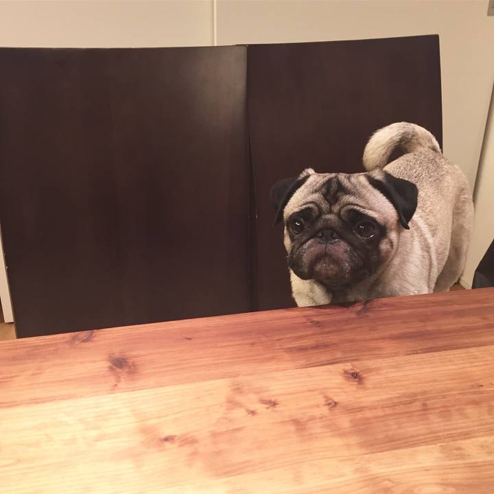 Dfa9fea6 c818 4b03 8933 1aa443cebb1f