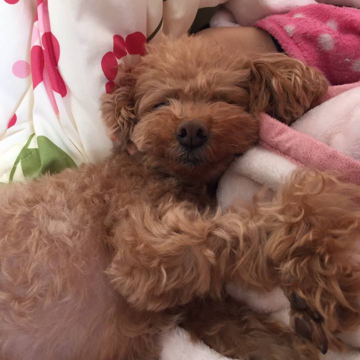 Dfaa0681 9af1 4578 83a5 2d1af7ffccc4