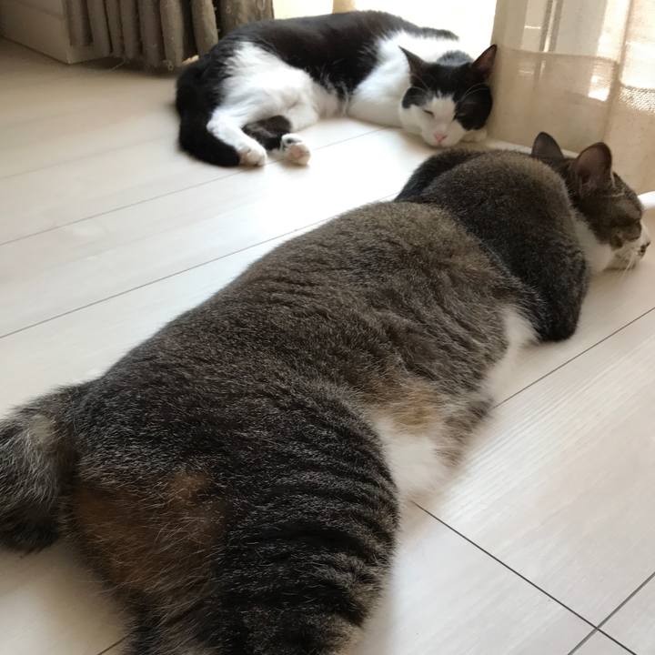 Dfaa0e7c a9d9 4f63 9b58 c97e24326b91