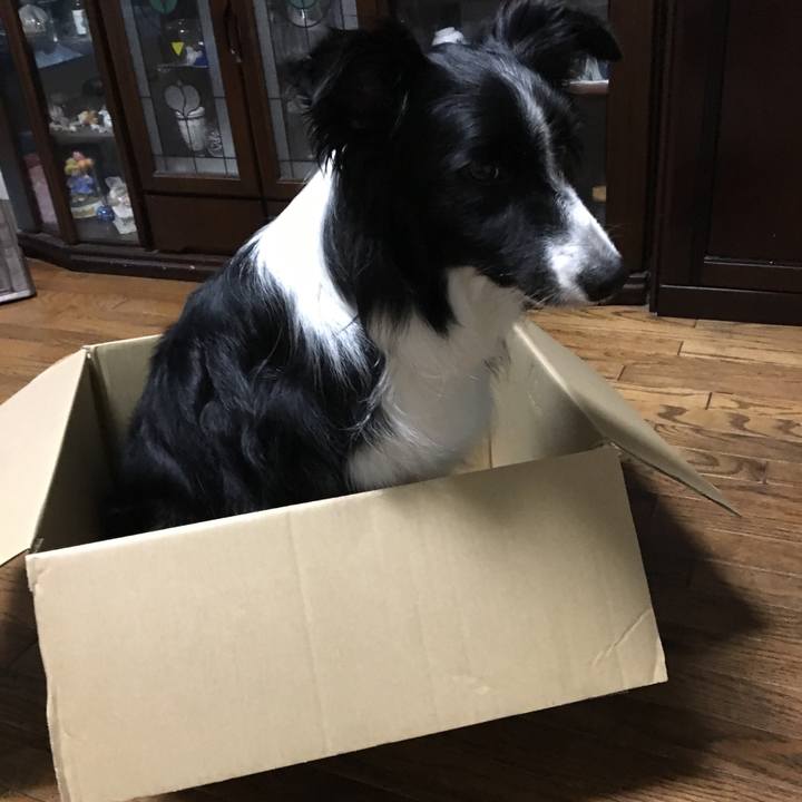 Dfaa4c77 4653 46b7 a807 0b8b5c291e52