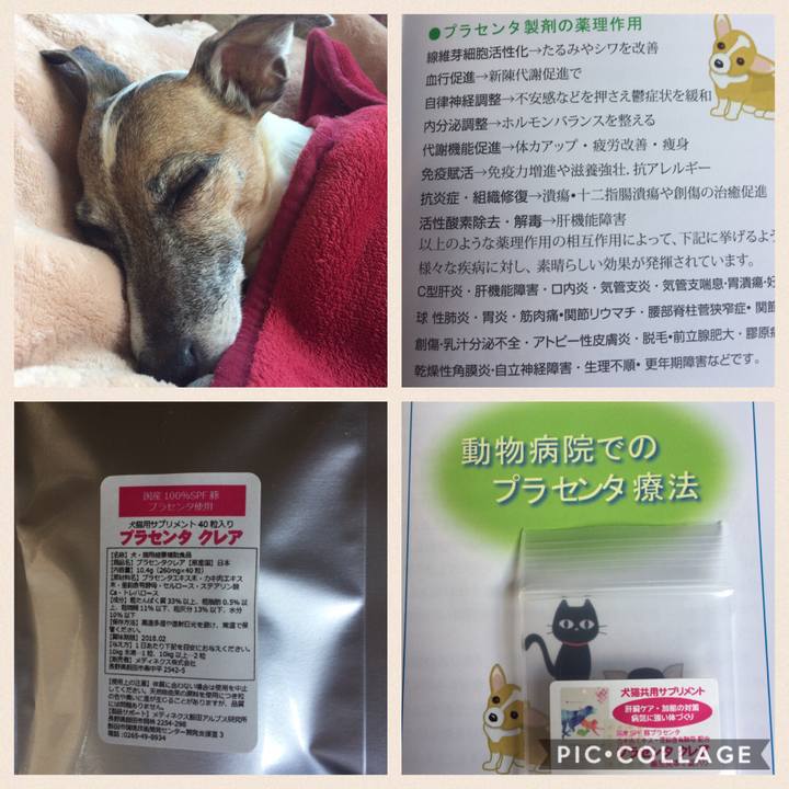 Dfaac2e4 090e 42c2 bebf 7745cce88bb0