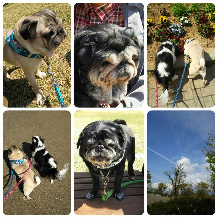 Dfab9995 0c08 4dc6 8b0f ed779a438d75