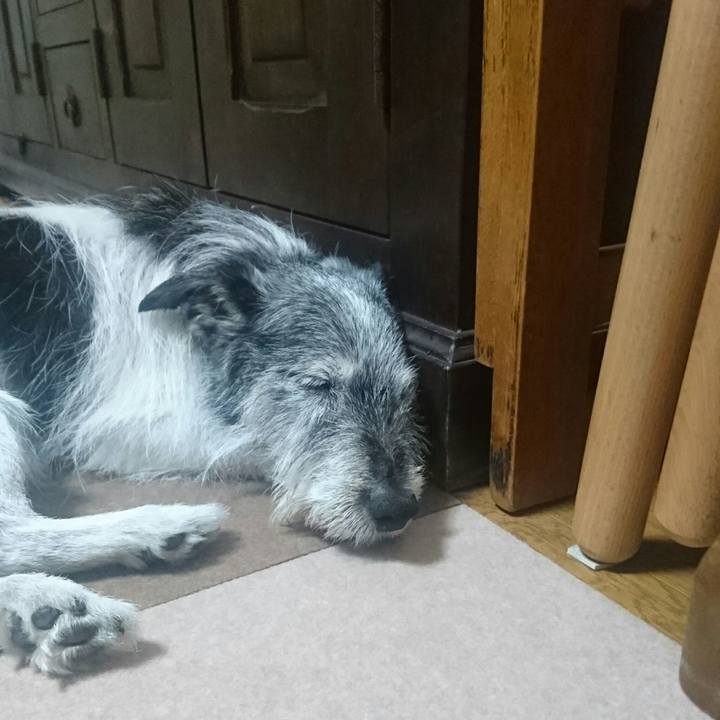 Dfabb972 4010 4d72 884f 70af6f4c169f