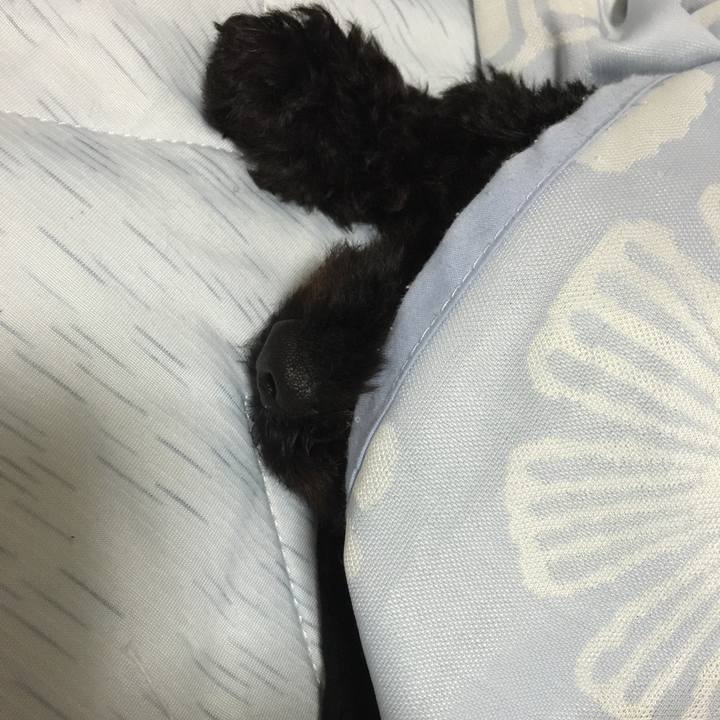 Dfabfa6c e7ce 4c81 9ebd 4f9ed3bee8ef