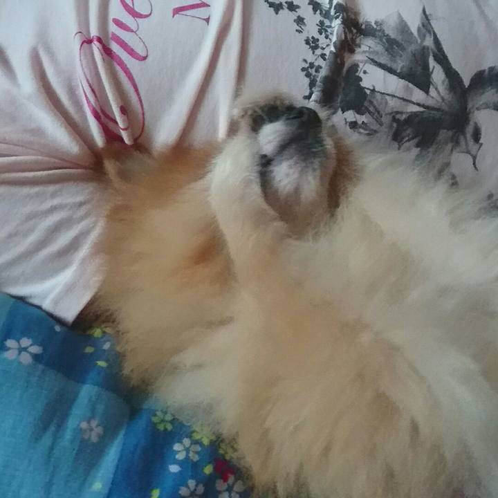 Dfac85e9 11a4 4e71 89d2 ad3639bb0e2b