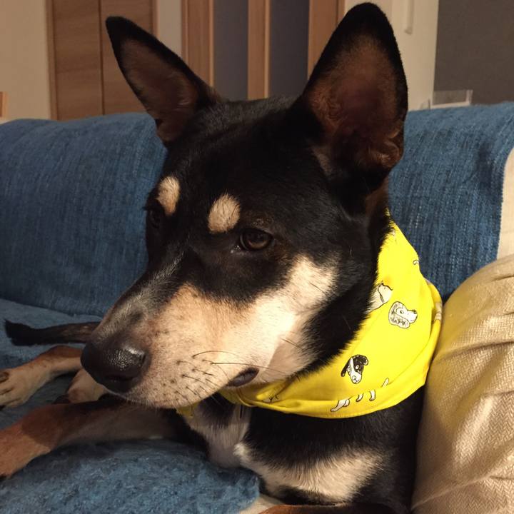 Dfac9ae3 7d58 4b83 89d9 a3da18d1f80f