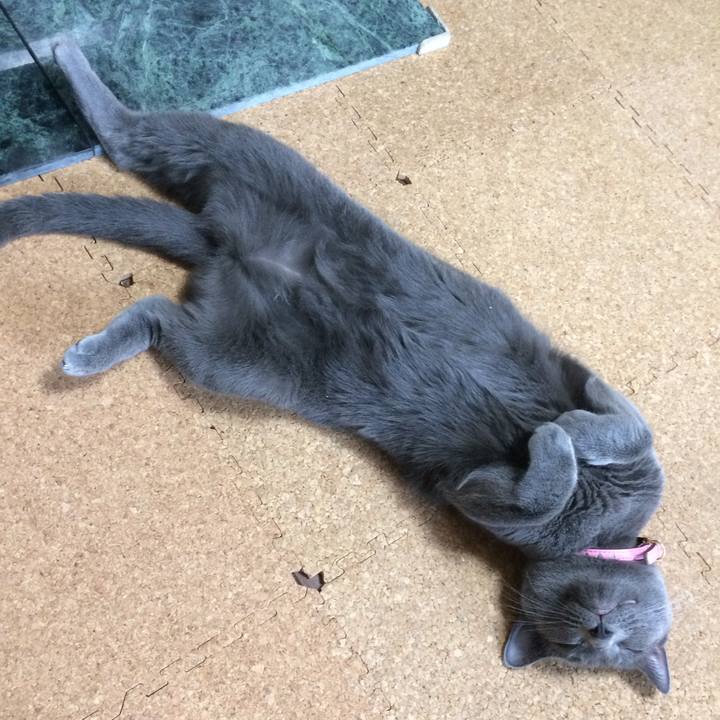 Dfaca5a9 dfb6 4eab a168 28261b5e6137