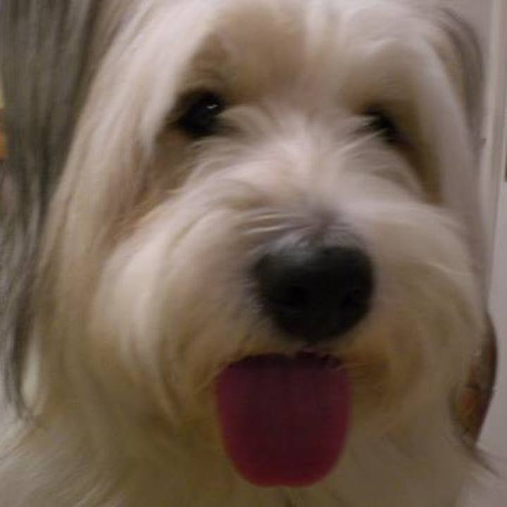 Dfacab91 b298 470f bf03 f14ed6ac1c0b