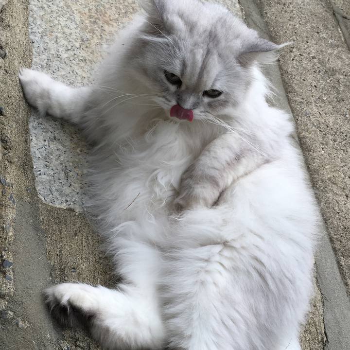 Dfad2617 09d8 4deb 9690 cb938aabdead