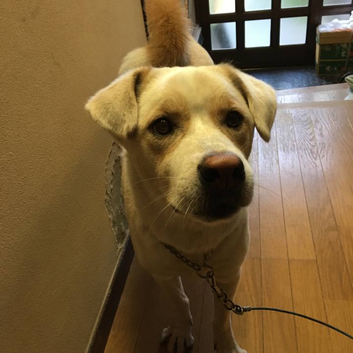 Dfad44a6 8e46 4c40 bd8c 21f00841eb8b