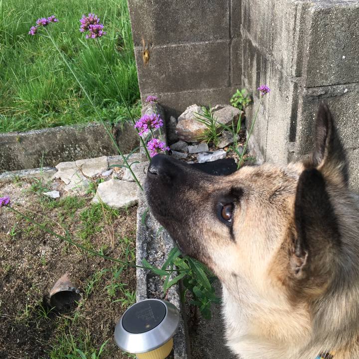 Dfad5649 f324 4fc6 9d79 10fc39319248