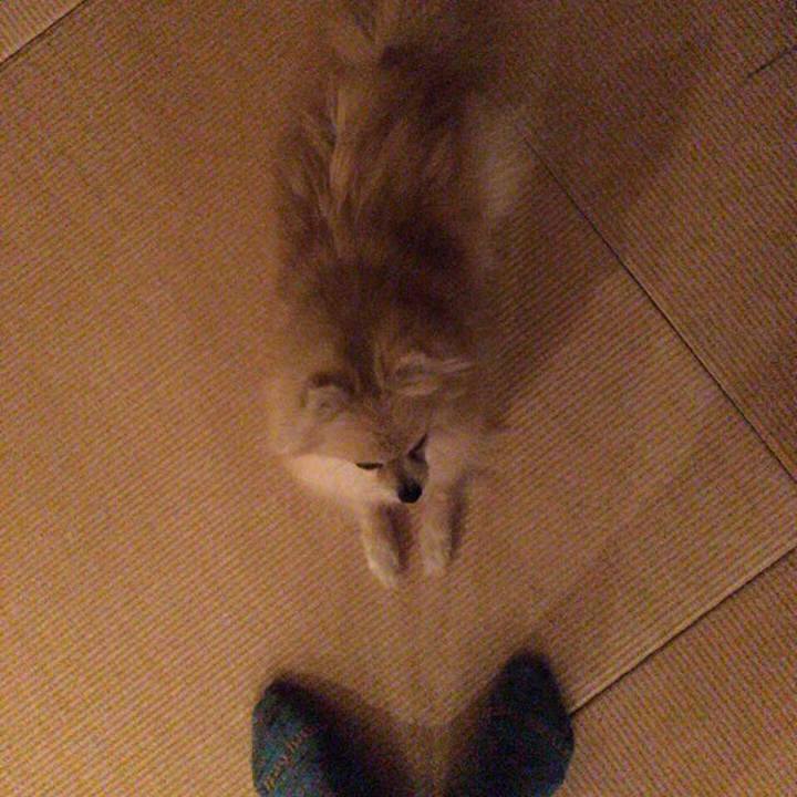 Dfae2bd4 798f 4e5a bf1d 4173d198f8d3