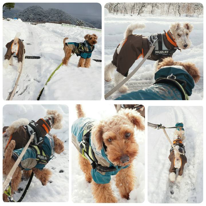 Dfaf3df0 d683 453a accf 47ed942a4164