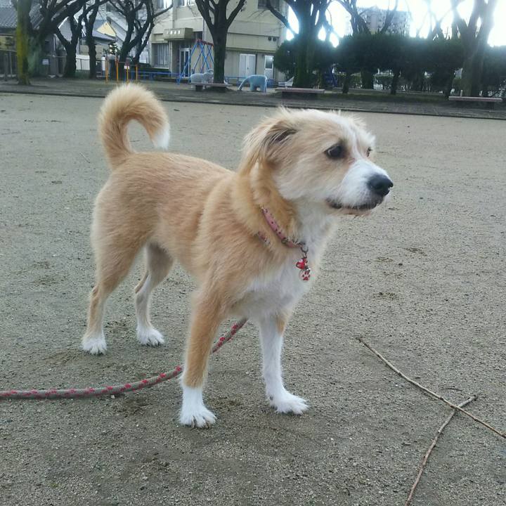 Dfaf85ca 0b10 44de b70a 025bb18147a7