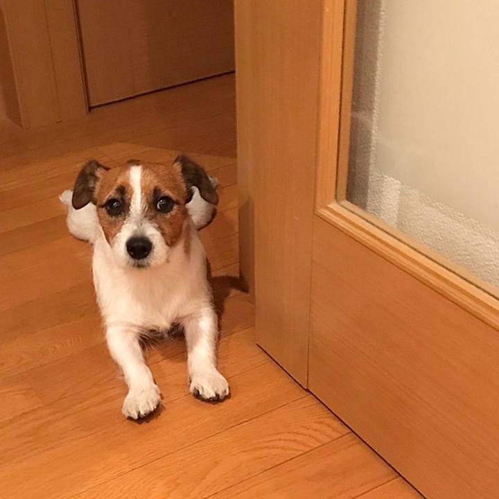 Dfafaadc 637c 498f 818f dfaf2d0253ec