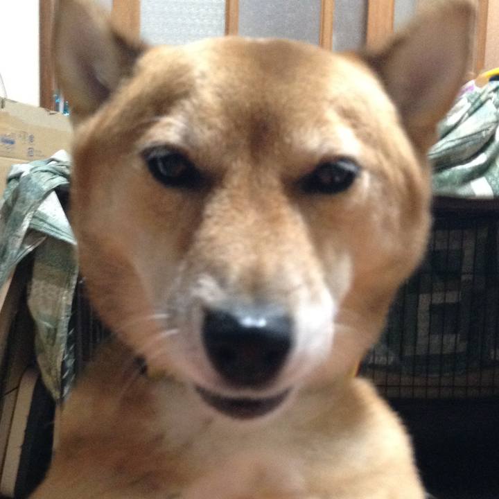 Dfb05159 fc37 4e4e 818a 974c33480fe7