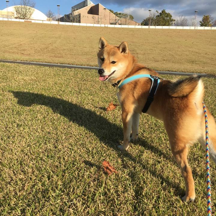 Dfb084ac 2e0c 457d 8f97 ddb724a11d65