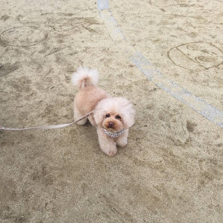 Dfb0c329 5165 4f5b a417 c8fb18f4e30d