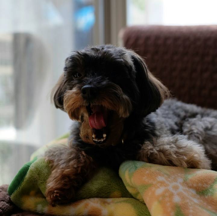 Dfb0c946 4361 4734 9015 dfd044375d6b