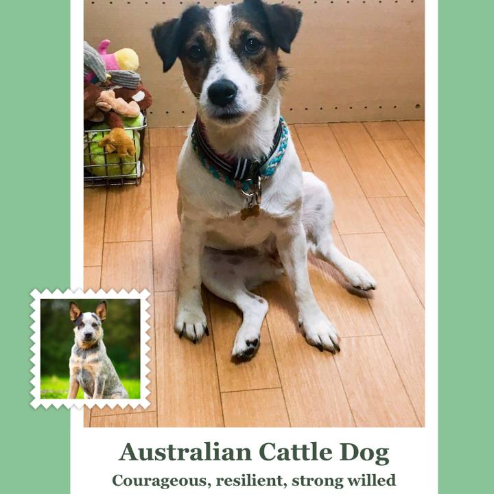 Dfb0dba2 bdab 4fad 8cfe 6f91304584ff