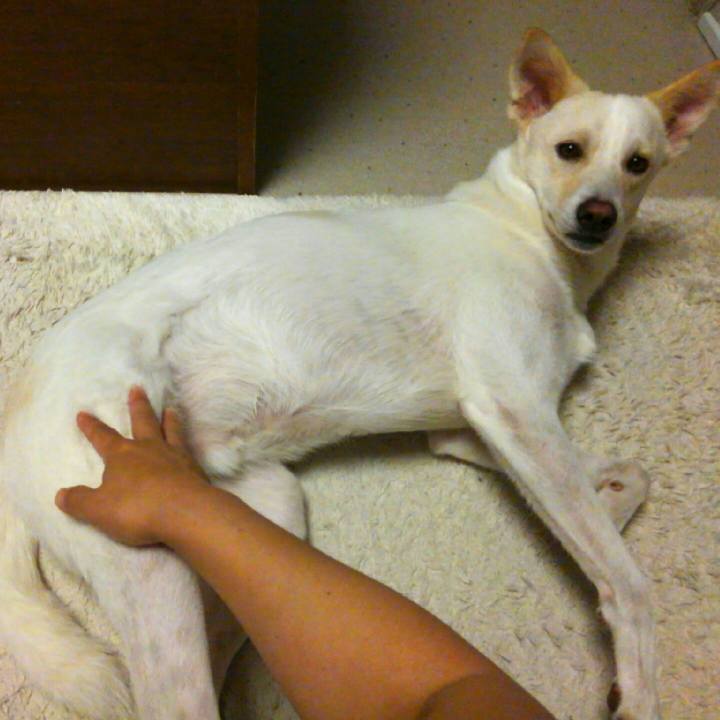 Dfb0eba6 9163 4836 a408 0726e143a25c