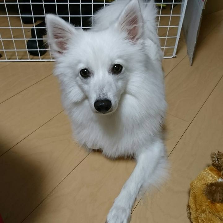 Dfb150ae 9ce9 4dee 8530 653ee129371b