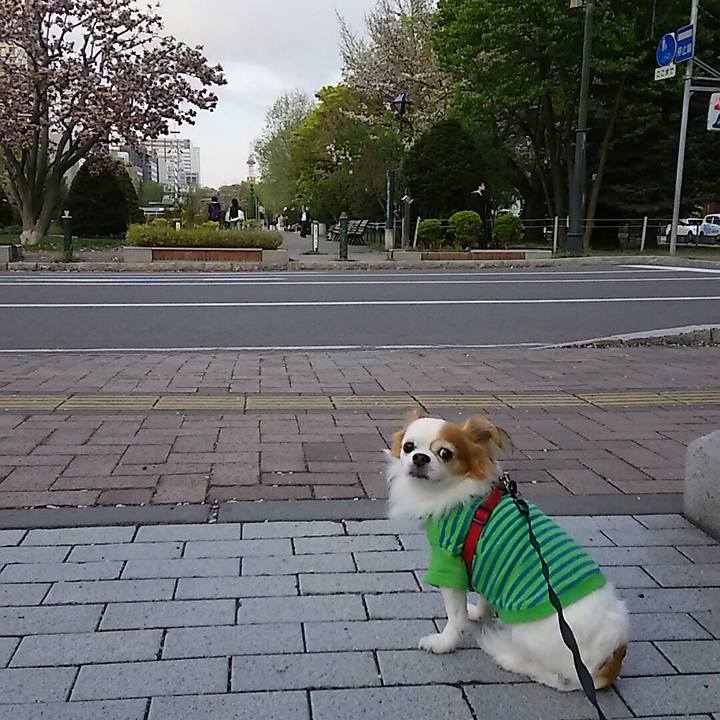 Dfb18c63 b141 4187 9221 904630fc07d6