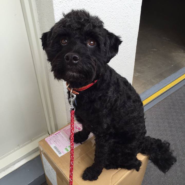 Dfb1a582 62ea 4f44 92b7 a491890d9200