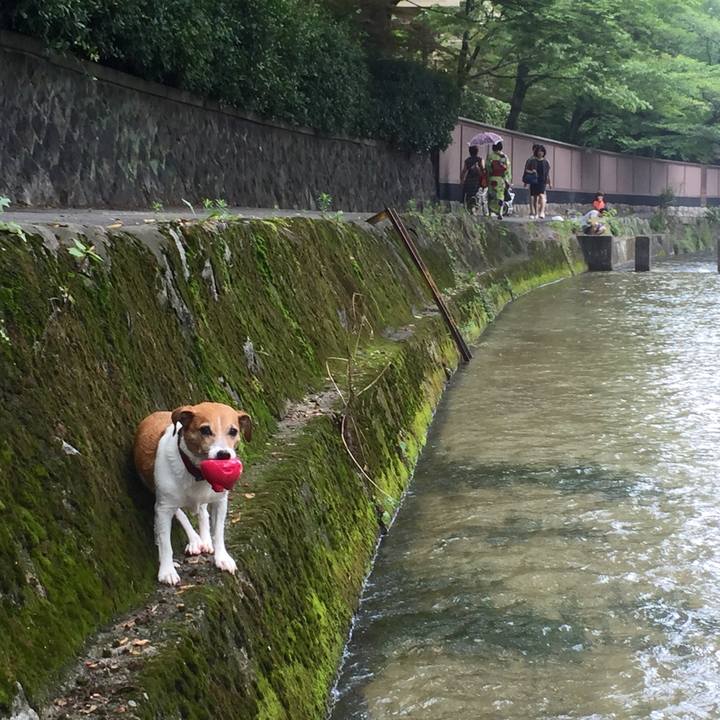 Dfb1c77a b320 4f36 ab48 9a9de3127886