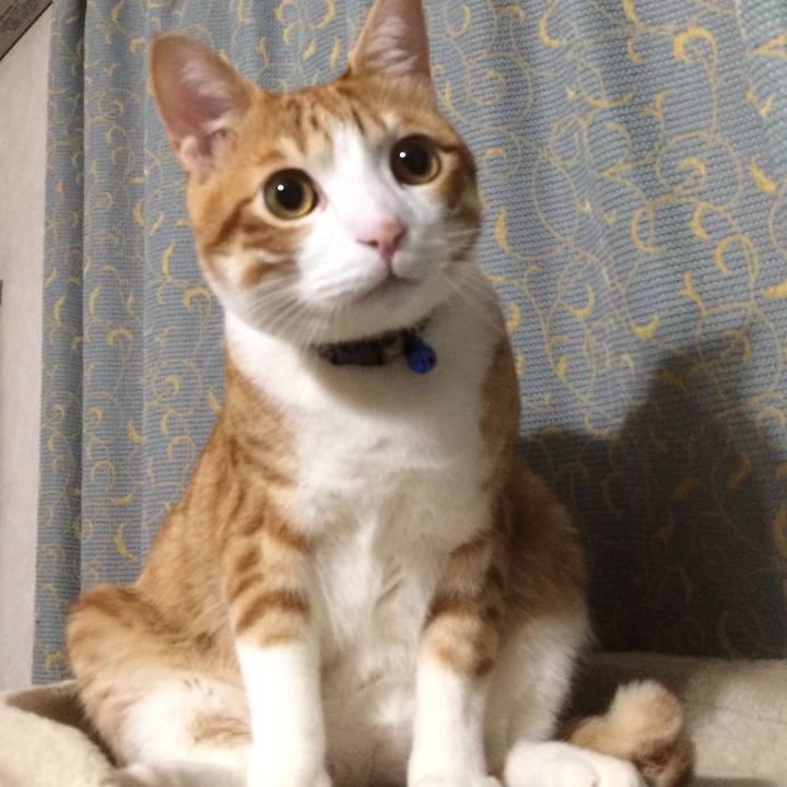 Dfb226dd 1672 4bcc 8b8c 636d9e533162