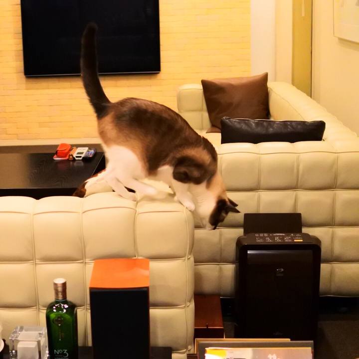 Dfb2e3bf 4d6f 4c07 a57c ff685adf1548