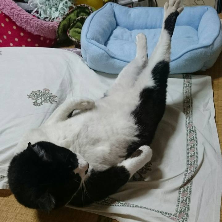 Dfb3d476 7e71 4d06 b88a 13d3865890ae