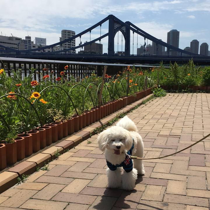 Dfb5107a 6caf 4a4e aacd 2101f9b3b077