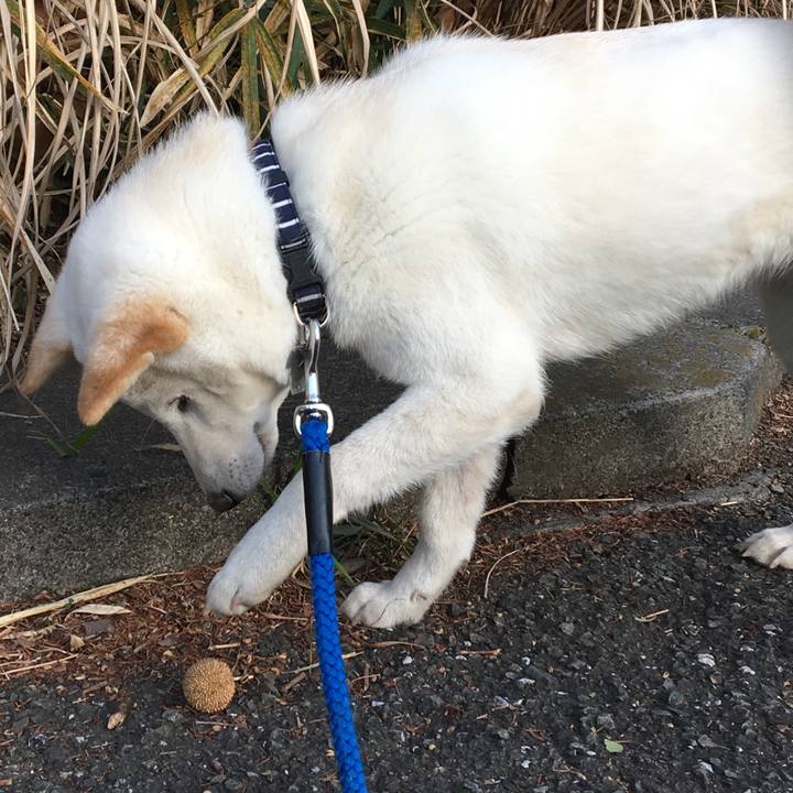 Dfb70748 8ba8 41c0 9cb1 ab33023524f8