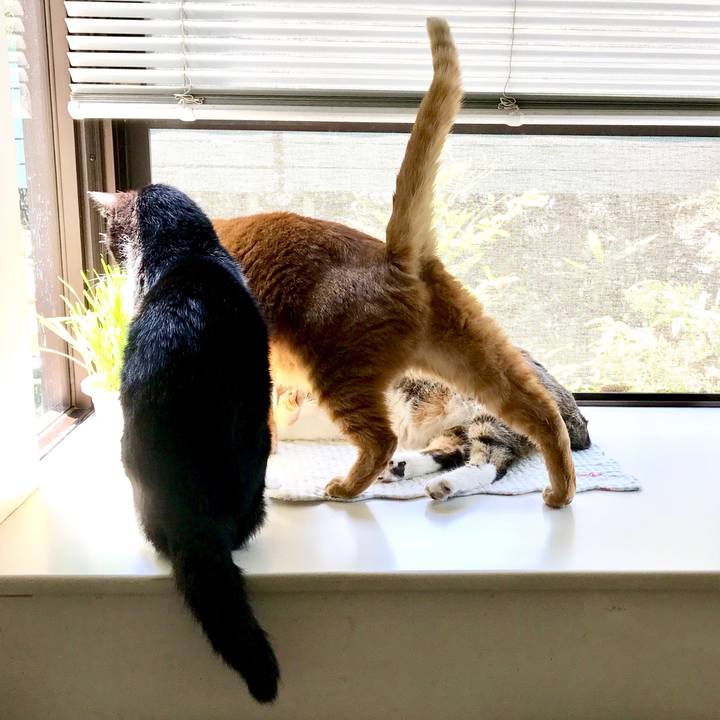 Dfb70d73 1e44 4ff2 9167 0d38d7911e51