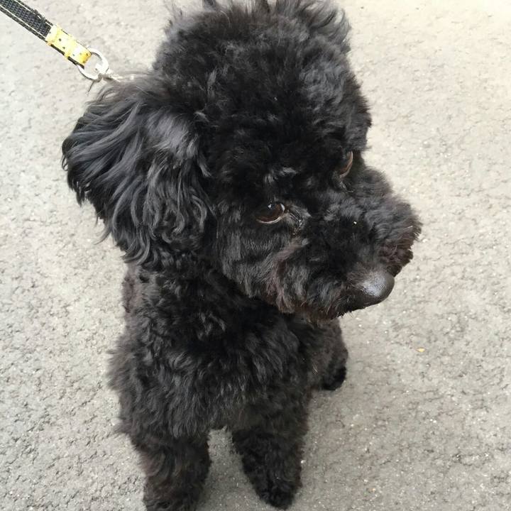 Dfb7786e c3c1 48f1 98f5 f778858a24e7