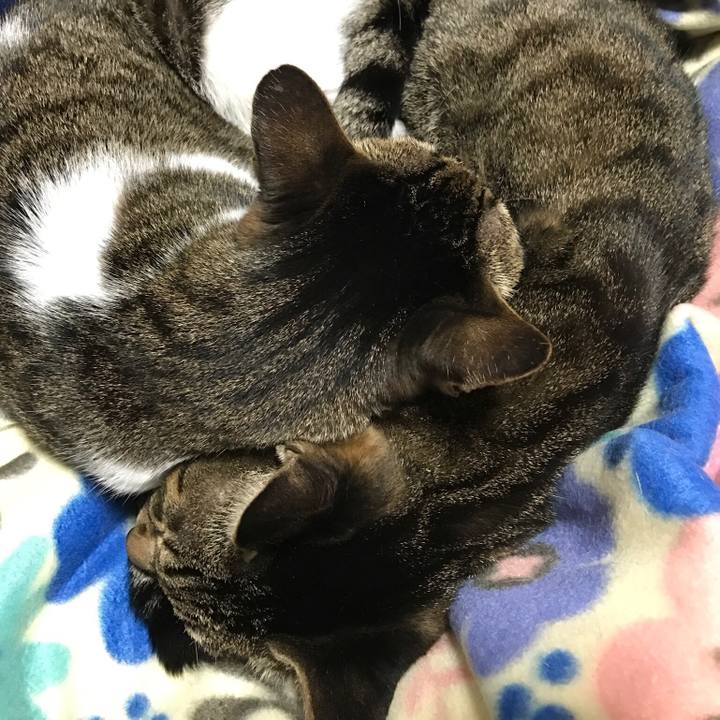 Dfb81d51 e7ef 450d a312 488ec2349789